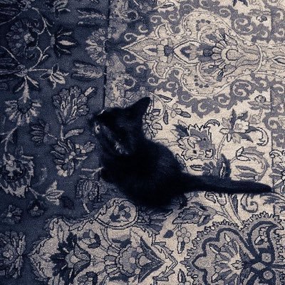 ghecorner's profile picture. dear dairy