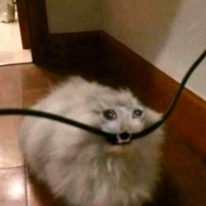 mistblue3228's profile picture. bruh