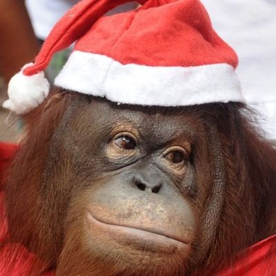 plutozee51644's profile picture. Hot boy 
Looking good 
Dad favorite 
Chasing the bag 💰💰