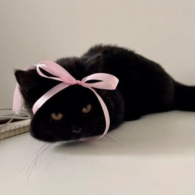 film_jww's profile picture. “sink or swim, let’s stick together as 13.”