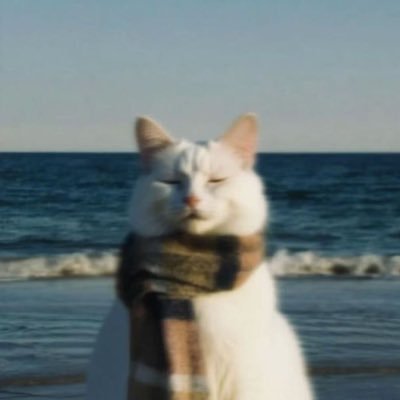 i1Lana's profile picture. | 🐧 |🍊| 🏔️ | #AlBatabet | #Peaks | #أعضاء_الگروب