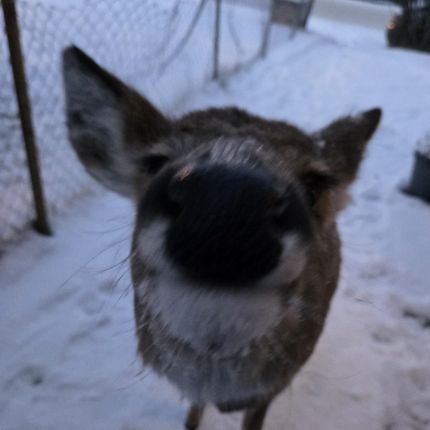 cobytf2's profile picture. uhhhh.. yeah? guy who likes a lot of everything.

will re-tweet nsfw sometimes so uhh.. watch out!