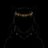 LargerBrute's profile image