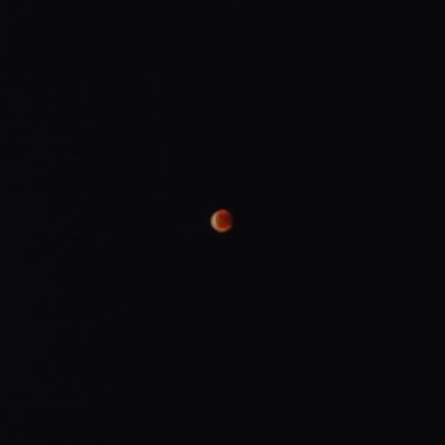 erasstourr's profile picture. single era, manly | no dating apps