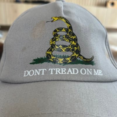 lzambrae's profile picture. 