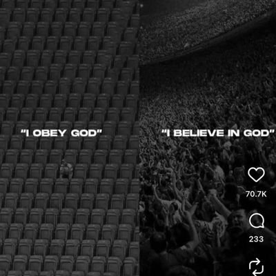 mountainnight12's profile picture. RTs are not promotions.