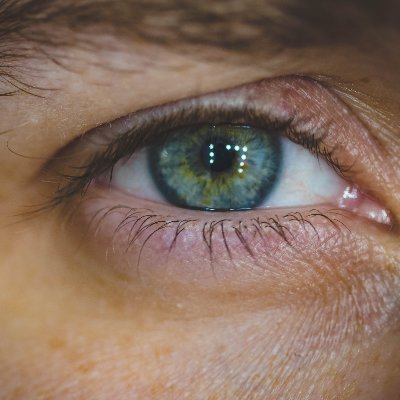 DLanever99042's profile picture. 