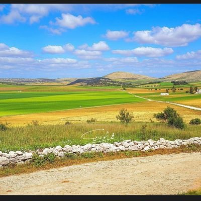 seaw5522's profile picture. 