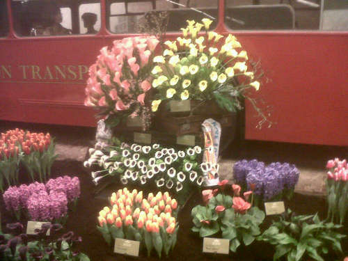 teeuwenbv's profile picture. 