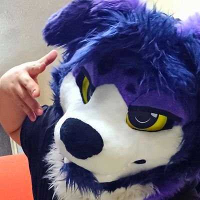 perrodisociado's profile picture. Dog 🐕 BARK ✨️ Purple💜 | 🇲🇽 Good Boy~ 🦐🏖
 🧵: @Katsudoggo | SFW (Most of the time) 👀🐾