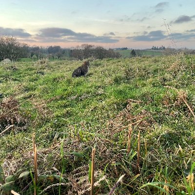 nadiecomprendia's profile picture. Au commencement était la Parole, avant que la communication l'achève. Vrai compte .