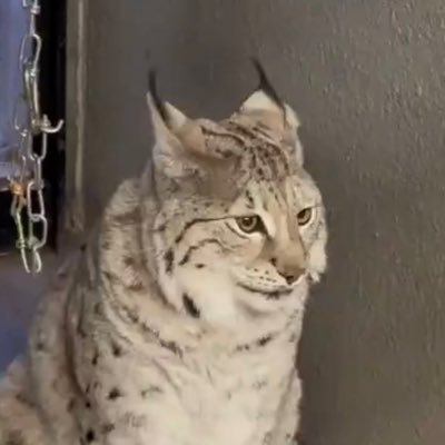 _no__tomorrow's profile picture. just a college student into space flight