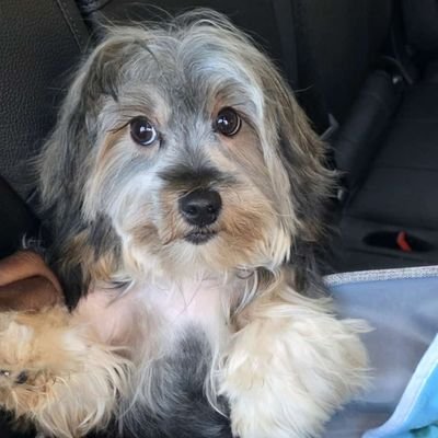 mackdyalfred's profile picture. Malfred.
ti nom sè Mène nan.

Je suis plus que vainqueur par celui qui m'a aimé ✌️ (Rom. 8: 37)

Ac-Versailles. fr

Asso: Grâce production