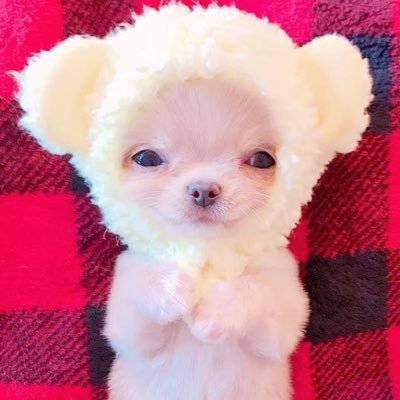 mandujudy's profile picture. 