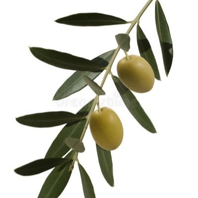 Mana54419246's profile picture. just trying