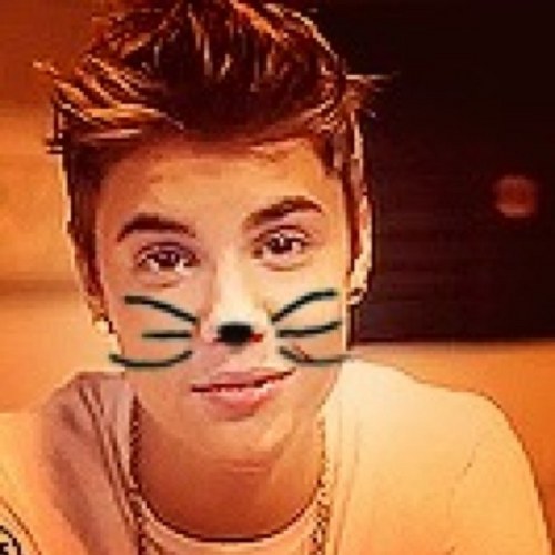 Im a #Belieber dgaf what you say. #teamfuckyou but im nice, juss dont talk shit(: