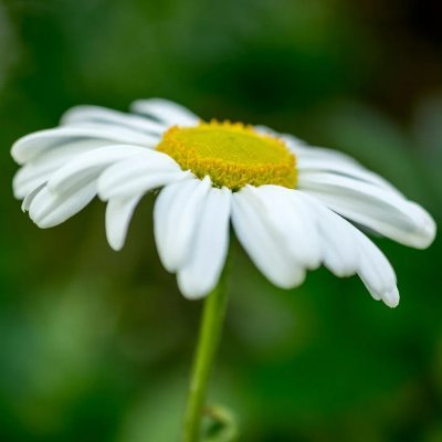 evette99437's profile picture. 