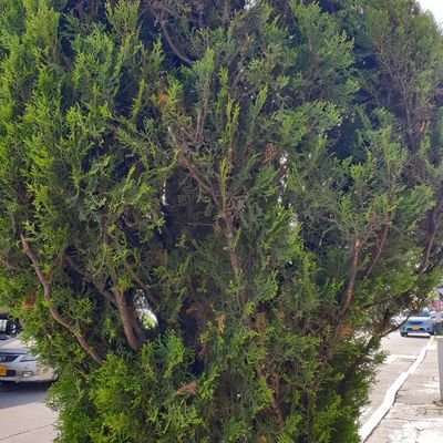 Andres18559's profile picture. 