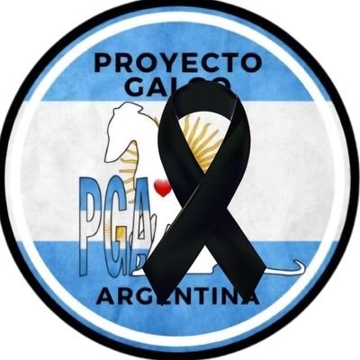 proyectogalgoar's profile picture. Proyecto Galgo Argentina
#LeyKshamenk 
#StopAcuarios 
#CierrenMundoMarino