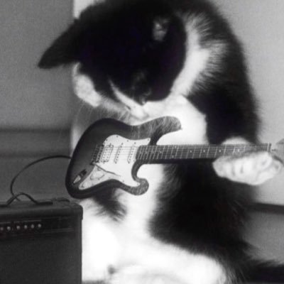 attaulahilham's profile picture. Cryptopunk