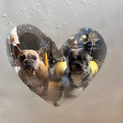 coco_th's profile picture. I’m seven & saucy 🥰💖