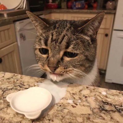 bENGeING's profile picture. 