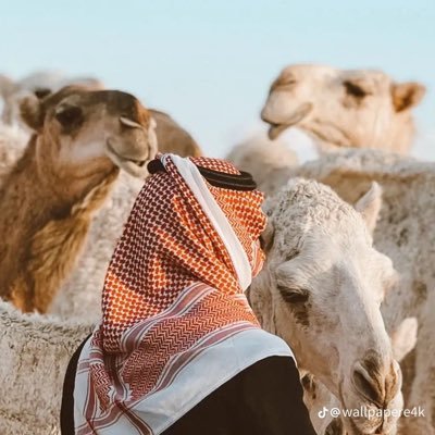 so1NP's profile picture. انا انا في كل وقت و زمان