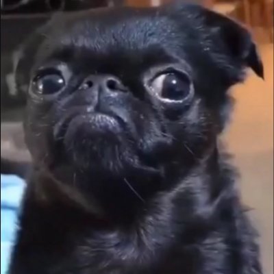 Ramb0Dini's profile picture. 