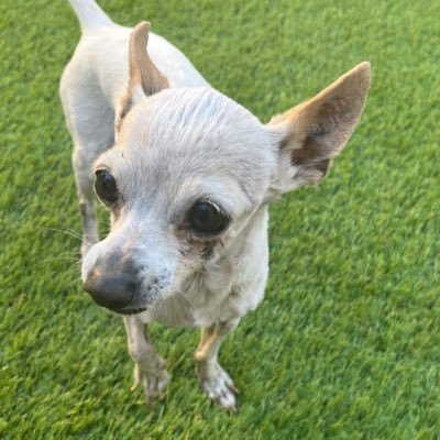 AlejaOrti's profile picture. 