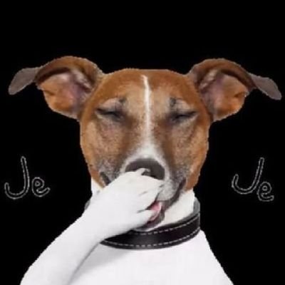 sonbienviboras's profile picture. Productor Casa de los Rijosos, primer Campeón de karaoke ☺️