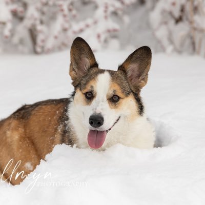 hirokog123's profile picture. 