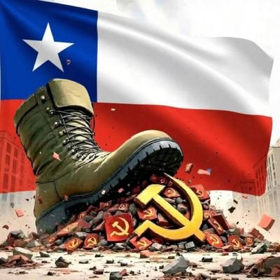 cristianilosilv's profile picture. soy de la T_T de la udechile y tengo el ❤💙, lo digo con orgullo lo digo con ❤💙 UNIVERSIDAD DE CHILE 🤘🤘🦁🦁🦉