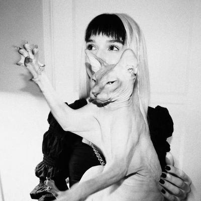 shuhuapaulista's profile picture. impoppy