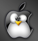 businessidea007's profile picture. Make Money Online