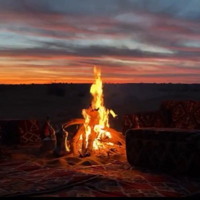 qanis950's profile picture. قارئ.. يلتمس الفائدة