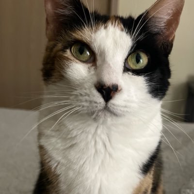 anchorlis21's profile picture. 