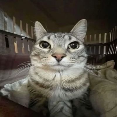 1223444b's profile picture. 2008