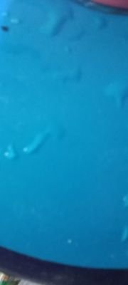 r4378599997327's profile picture. ตัวอ้วน