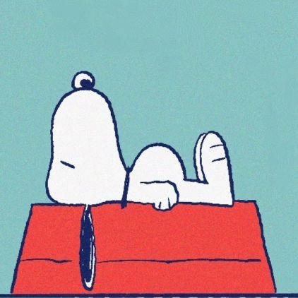 reina_iwam77407's profile picture. 