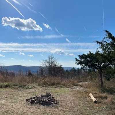 TjCapital_'s profile picture. 