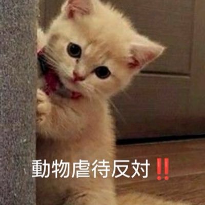 okajal123's profile picture. 定年退職をして自由気ままな生活を送る60歳男性です
政治や日常生活、食べ物をツイしたいと思ってます　I support President Trump #MAGA