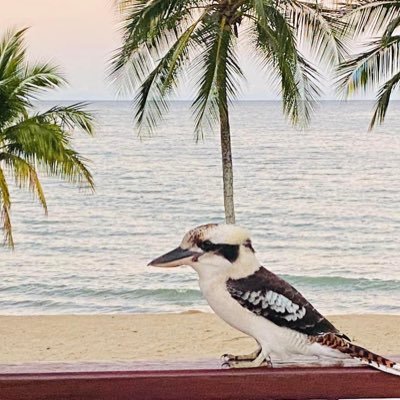 KerroLucy's profile picture. Librarian, sailor, swimmer, feminist, left of left.