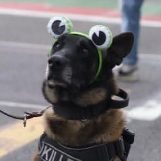 MierDitta88's profile picture. 