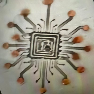 shenzhenwanCS's profile picture. take profit Bitcoin Cash flow is king