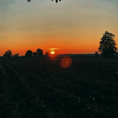 wat_chud90169's profile picture. พร้อมส่งรูปสวนตัว