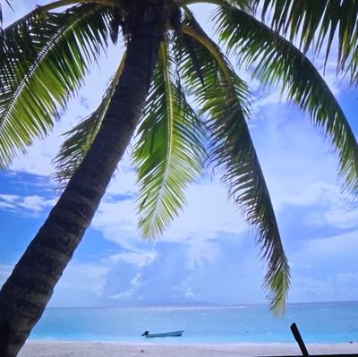 MRamosmo's profile picture. Spanish Teacher 
@Cy-Creek HS
MEd..... loading.