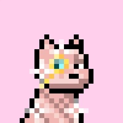 cindimetax's profile picture. dogs, pixels, and pattern breaks branding is behavior barking when it matters