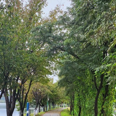 lov_atom's profile picture. 모든 것은 순차적으로 일어났다가 사라질 뿐이다