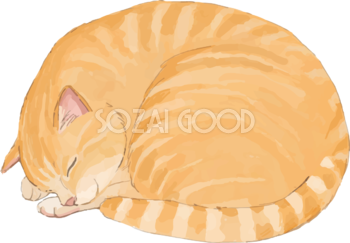 Ederno11's profile picture. おっつーっす
どんまい