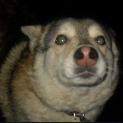 Bottugle34's profile picture. Big dick is back in town ! Yay
Run by 🍼bottle and 📯bugle